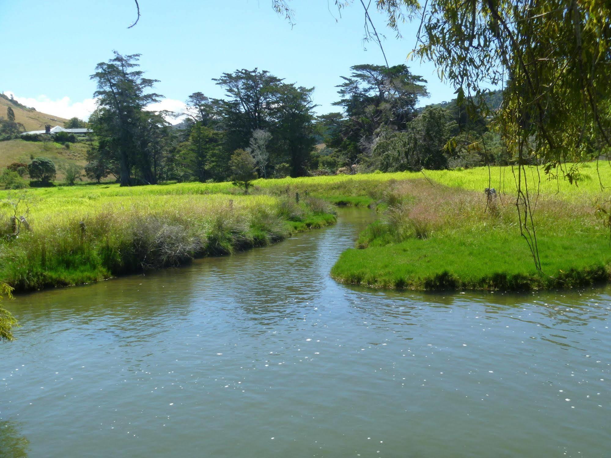 At Parkland Place B&B Whitianga Luaran gambar